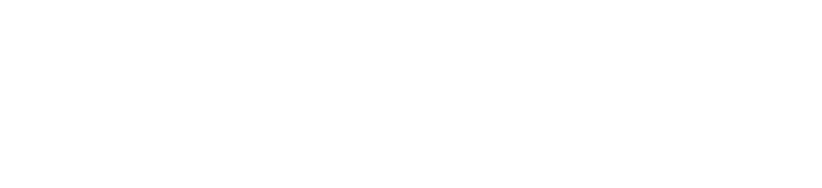 Renaissance Strategic Capital